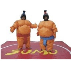 Sumo Ringen